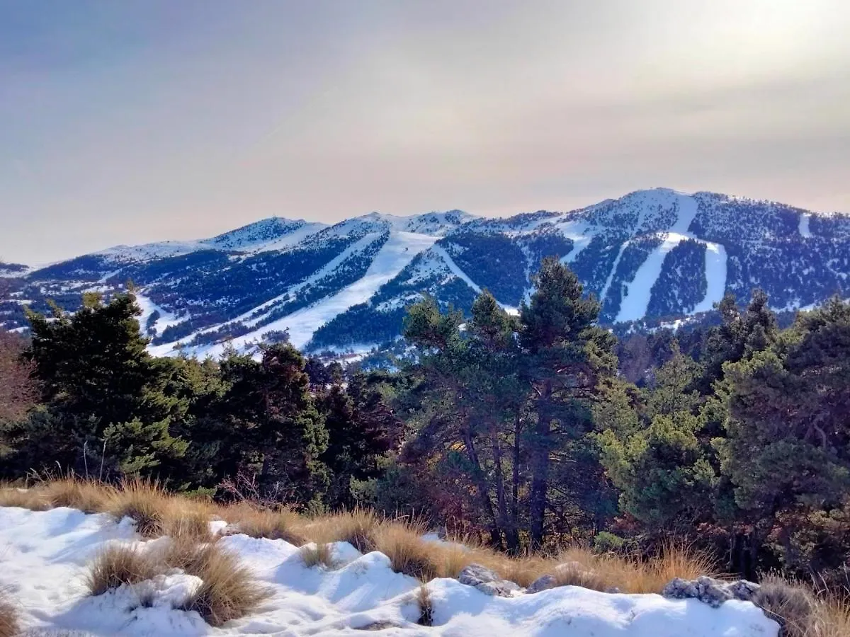 U064 - La Marmotte Enchantee - Greolieres Les Neiges